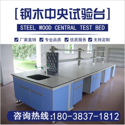 钢木中央试验台封面图3